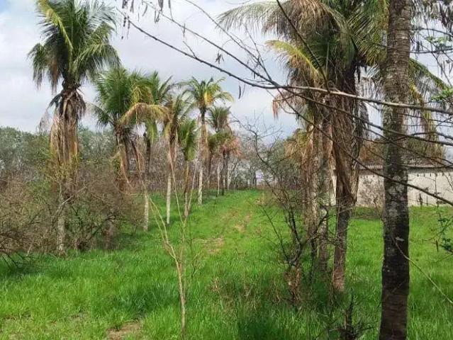 Terreno / Lote para Venda em Macaé/RJ Ajuda de Cima