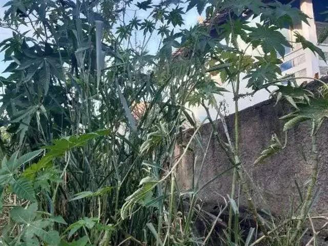 Terreno / Lote para Venda em Macaé/RJ Granja dos Cavaleiros