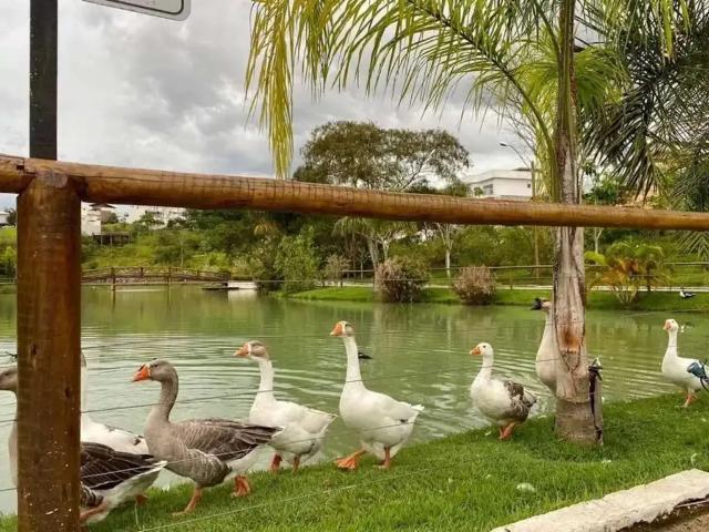 Terreno / Lote para Venda em Macaé/RJ Lagoa