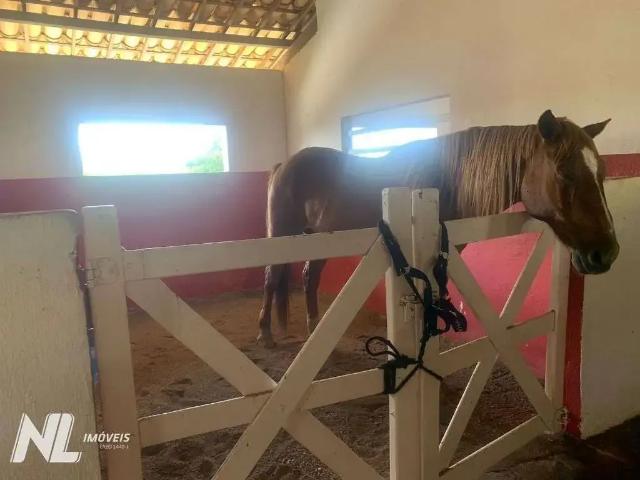 Terreno / Lote para Venda em Macaíba/RN Zona Rural