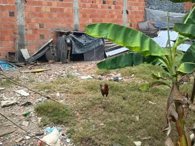 Terreno / Lote para Venda em Maceió/AL Tabuleiro do Martins