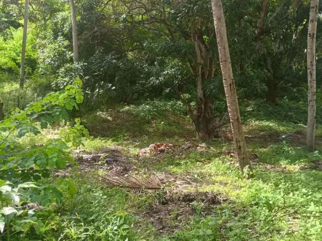 Terreno / Lote para Venda em Maceió/AL Cidade Universitária