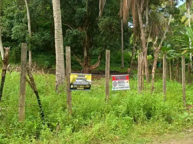 Terreno / Lote para Venda em Maceió/AL Cidade Universitária