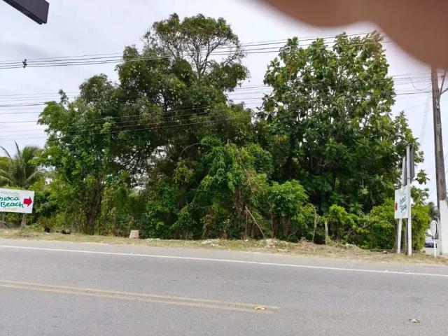 Terreno / Lote para Venda em Maceió/AL Ipioca