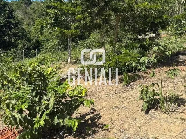 Terreno / Lote para Venda em Maceió/AL Ipioca