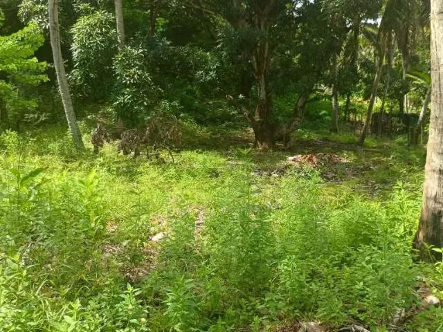 Terreno / Lote para Venda em Maceió/AL Ipioca