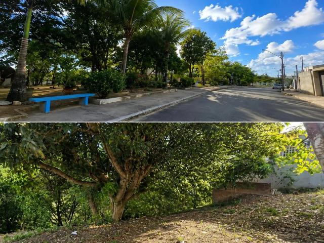 Terreno / Lote para Venda em Maceió/AL Serraria