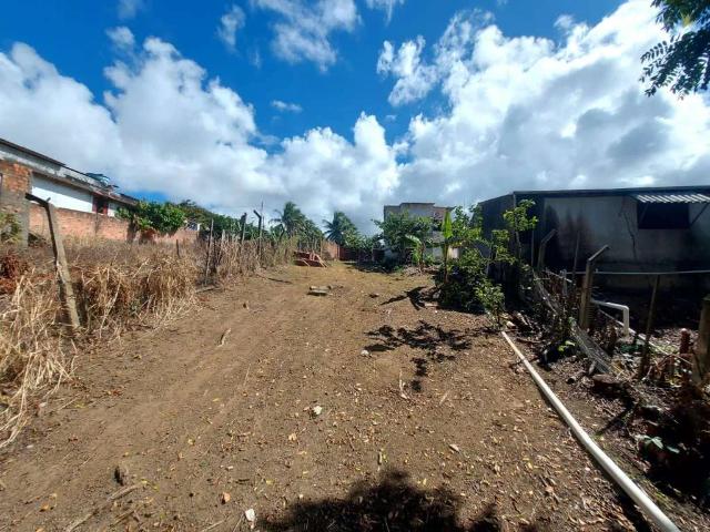 Terreno / Lote para Venda em Maceió/AL Serraria
