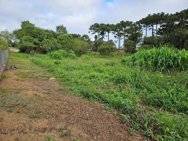 Terreno / Lote para Venda em Mafra/SC Campo da Lança