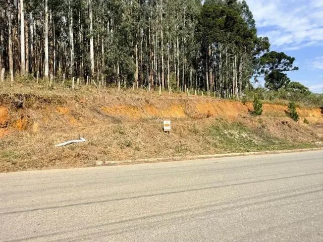 Terreno / Lote para Venda em Mafra/SC Restinga