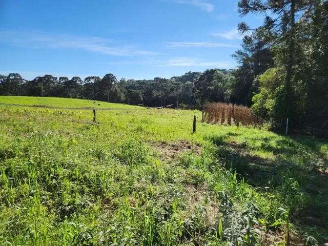 Terreno / Lote para Venda em Mafra/SC São Lourenço