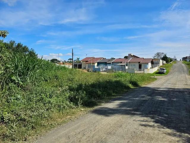 Terreno / Lote para Venda em Mafra/SC Vila Nova