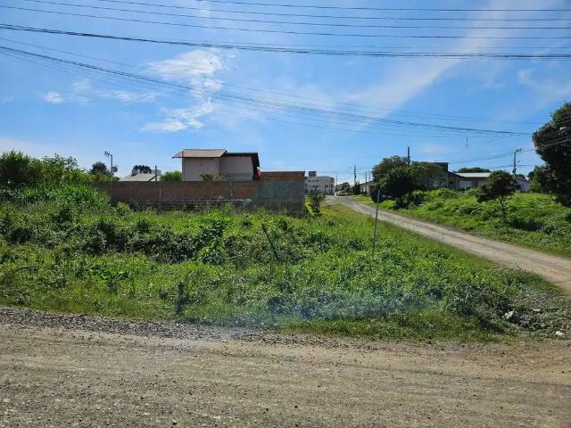 Terreno / Lote para Venda em Mafra/SC Vila Nova