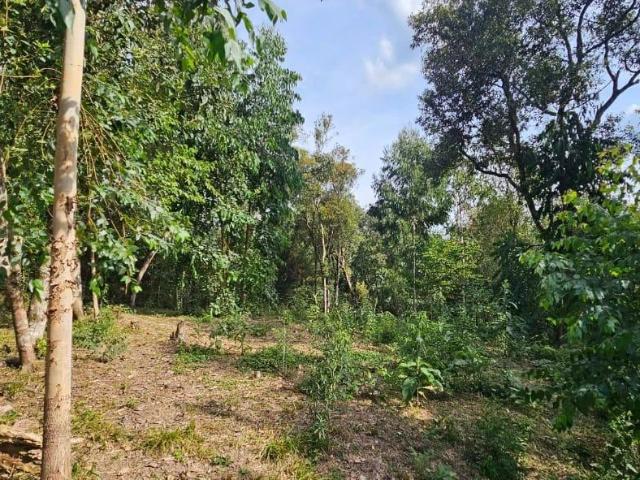 Terreno / Lote para Venda em Mafra/SC Vila Nova