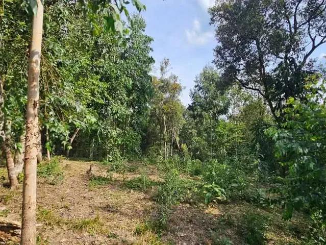 Terreno / Lote para Venda em Mafra/SC Vila Nova