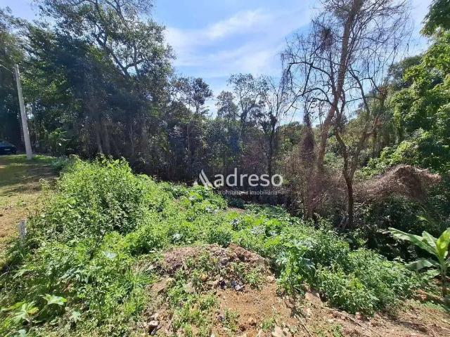 Terreno / Lote para Venda em Mairinque/SP Vale dos Pêssegos