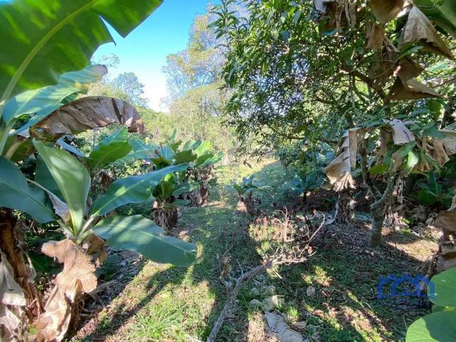 Terreno / Lote para Venda em Mairinque/SP Dona Catarina