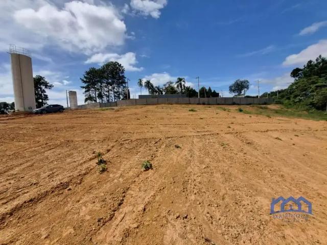 Terreno / Lote para Venda em Mairinque/SP Dona Catarina