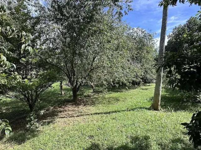 Terreno / Lote para Venda em Mairinque/SP Dona Catarina