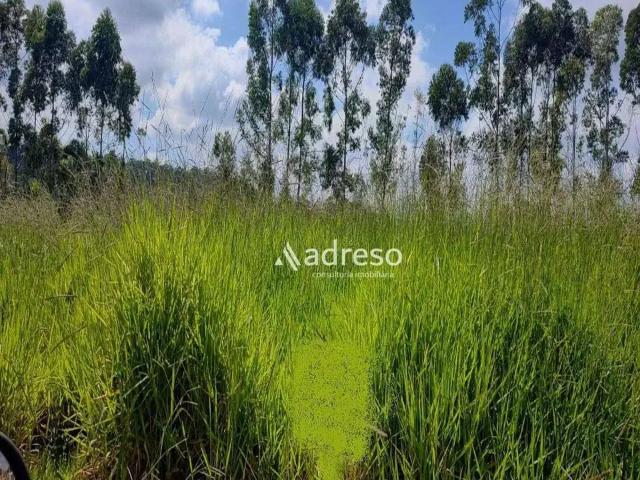 Terreno / Lote para Venda em Mairinque/SP Jardim Vitória