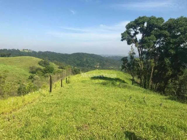 Terreno / Lote para Venda em Mairinque/SP Mato Dentro
