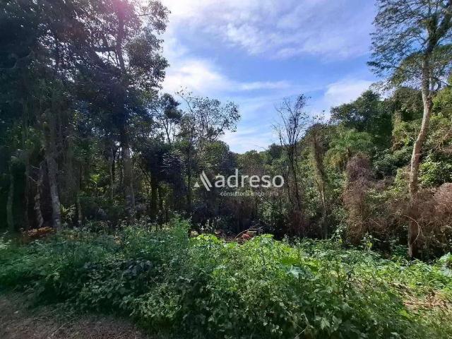 Terreno / Lote para Venda em Mairinque/SP Setúbal