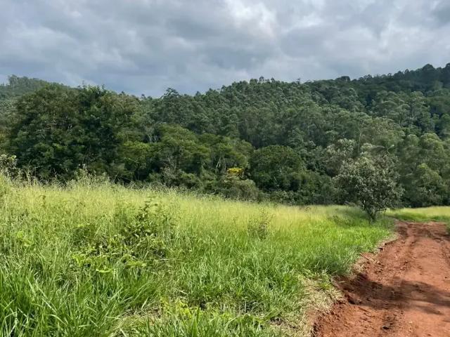 Terreno / Lote para Venda em Mairiporã/SP Terra Preta