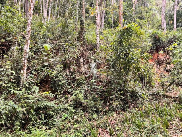Terreno / Lote para Venda em Mairiporã/SP Barreiro