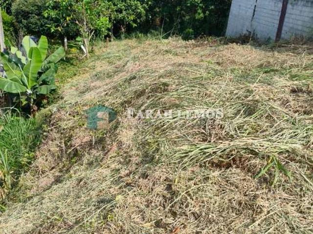 Terreno / Lote para Venda em Mairiporã/SP Capoavinha