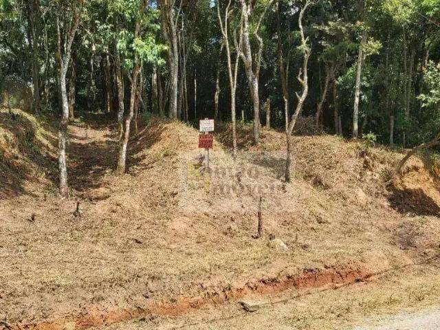 Terreno / Lote para Venda em Mairiporã/SP Chácara Belvedere