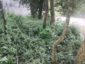Terreno / Lote para Venda em Mairiporã/SP Jardim Paraíso