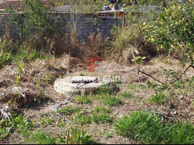 Terreno / Lote para Venda em Mairiporã/SP Mato Dentro