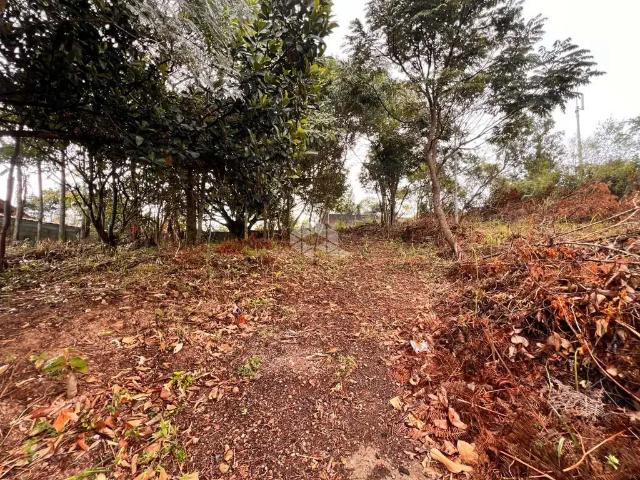 Terreno / Lote para Venda em Mairiporã/SP Mato Dentro