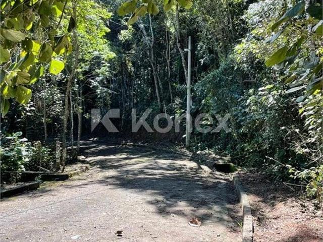 Terreno / Lote para Venda em Mairiporã/SP Palmeiras