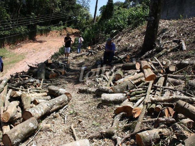 Terreno / Lote para Venda em Mairiporã/SP Roseira