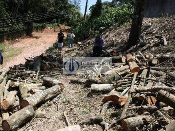 Terreno / Lote para Venda em Mairiporã/SP Roseira