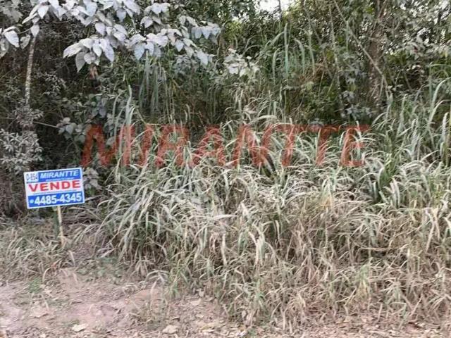 Terreno / Lote para Venda em Mairiporã/SP São Vicente