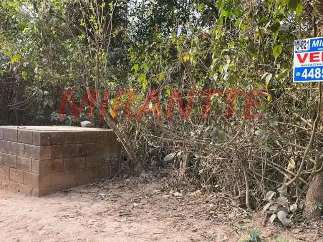 Terreno / Lote para Venda em Mairiporã/SP São Vicente