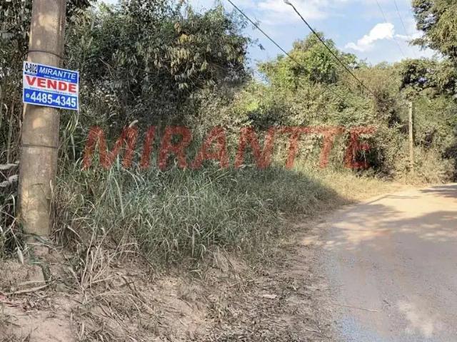 Terreno / Lote para Venda em Mairiporã/SP São Vicente