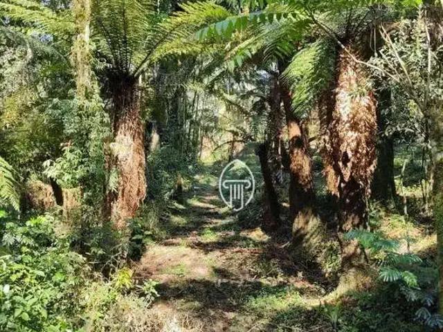Terreno / Lote para Venda em Mallet/PR Centro