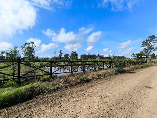 Terreno / Lote para Venda em Maracajá/SC Vila Beatriz
