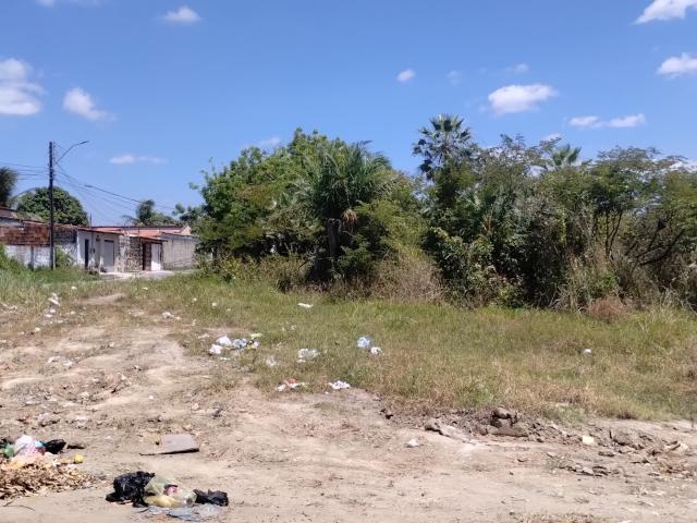 Terreno / Lote para Venda em Maracanaú/CE Horto