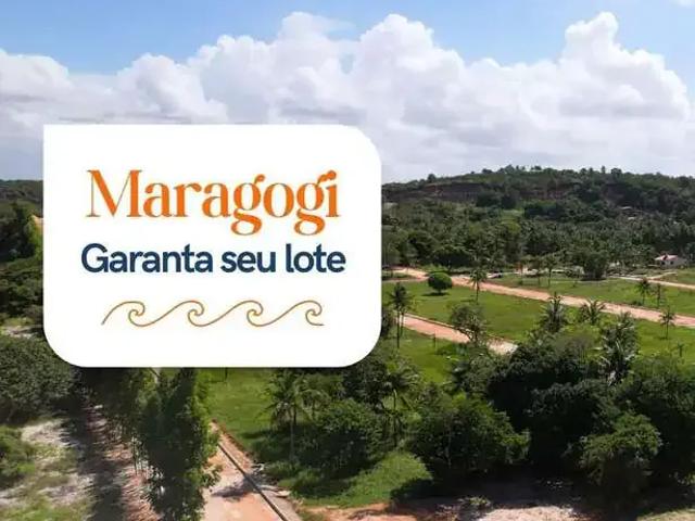 Terreno / Lote para Venda em Maragogi/AL Barra Grande