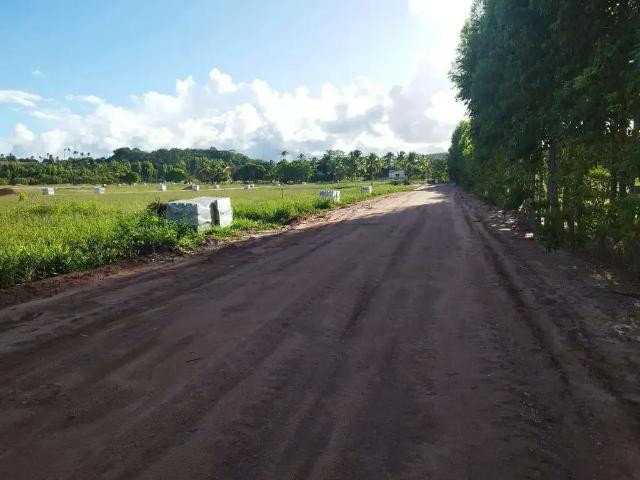 Terreno / Lote para Venda em Maragogi/AL Barra Grande