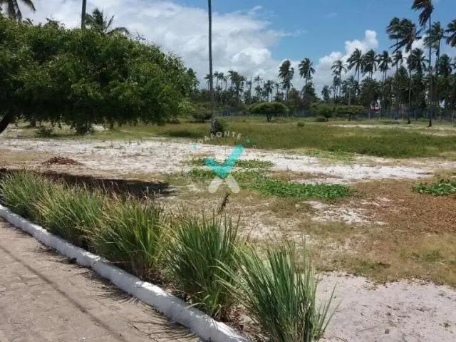 Terreno / Lote para Venda em Maragogi/AL Centro