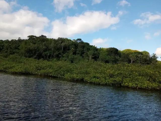 Terreno / Lote para Venda em Maraú/BA Baía de Camamu