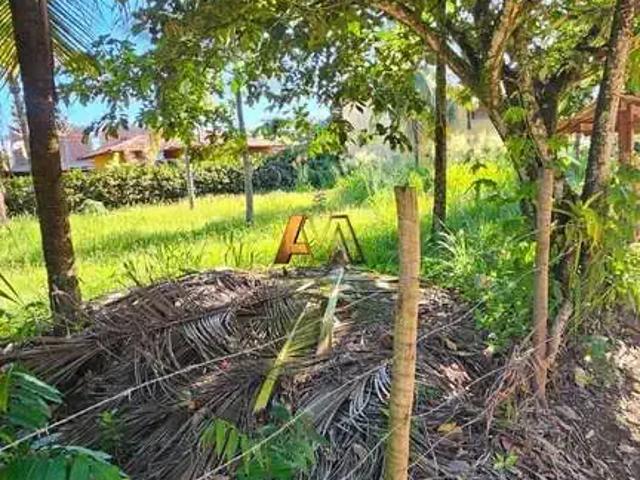 Terreno / Lote para Venda em Maraú/BA Barra Grande