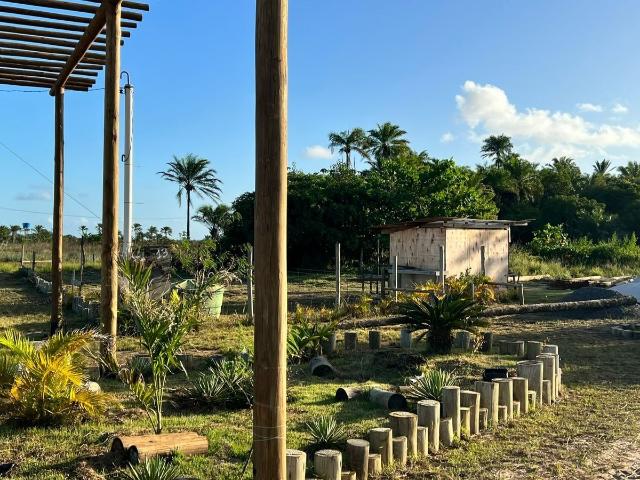 Terreno / Lote para Venda em Maraú/BA Barra Grande
