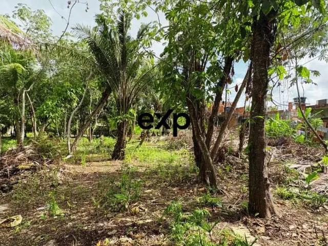 Terreno / Lote para Venda em Maraú/BA Barra Grande