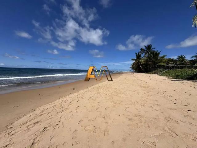Terreno / Lote para Venda em Maraú/BA Barra Grande